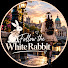 0o0ZwQj1ipo-channel-avatar-Follow the White Rabbit 