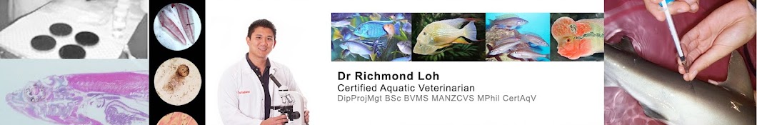 The Fish Doctor YouTube channel avatar