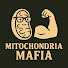 nwbwWbOXhls-channel-avatar-Mitochondria Mafia