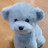 @Dog2DogTV