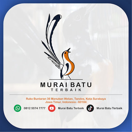 MURAI BATU TERBAIK