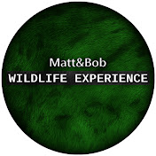 Matt&Bob Wildlife Experience