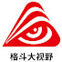 qyQ5gEeSkHM-channel-avatar-格斗大视野