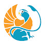 Parakeet Griffin Games