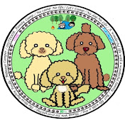 3匹のデカプー🐶ユメ・福・喜〜