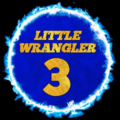 Littlewrangler3 net worth