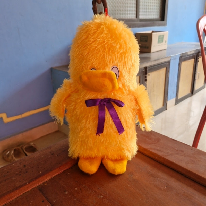 ThatLonelyDuck