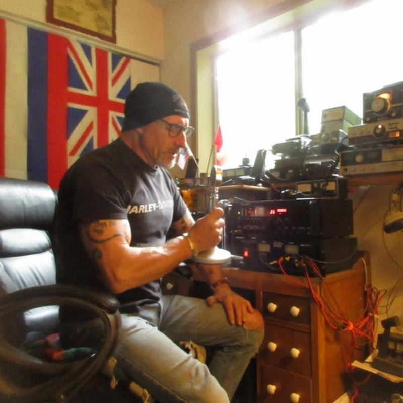 Jungle Joe C videogates