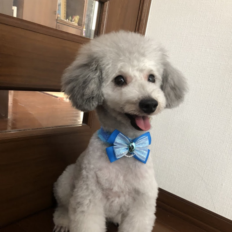 グリィちゃんねるのサムネイル