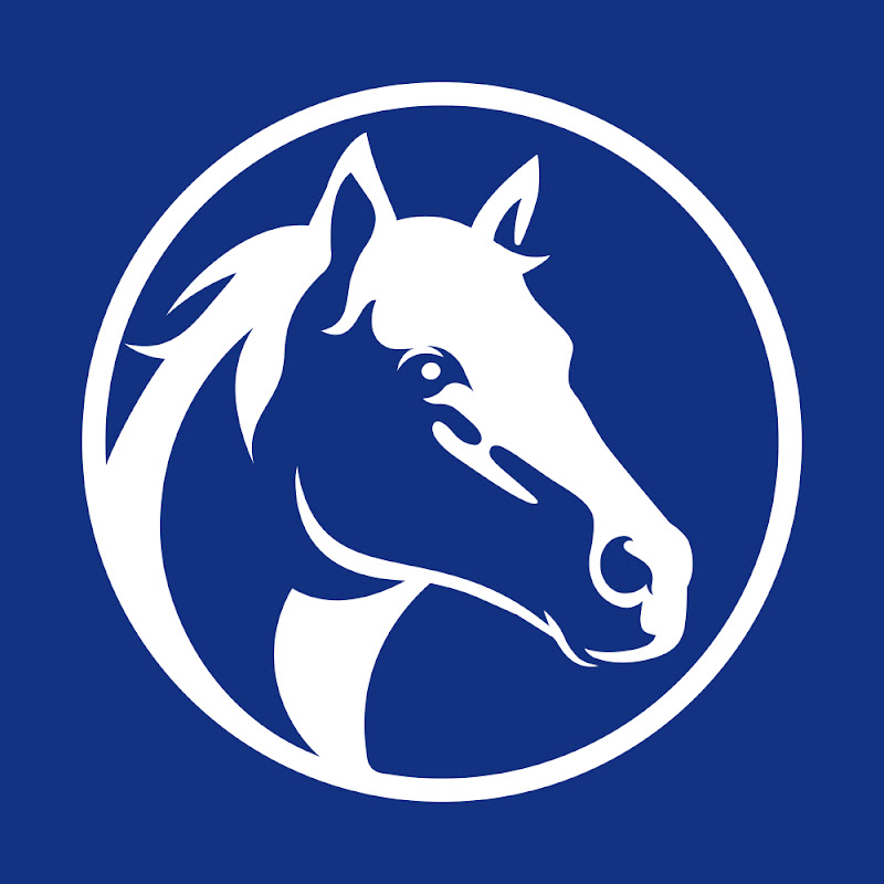 World Horse Welfare