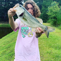 Bass_aholics