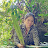 b1MarhbNvqU-channel-avatar-Rural Life-Lan