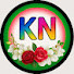 zhUCvgx8lEs-channel-avatar-Katha Nivesh