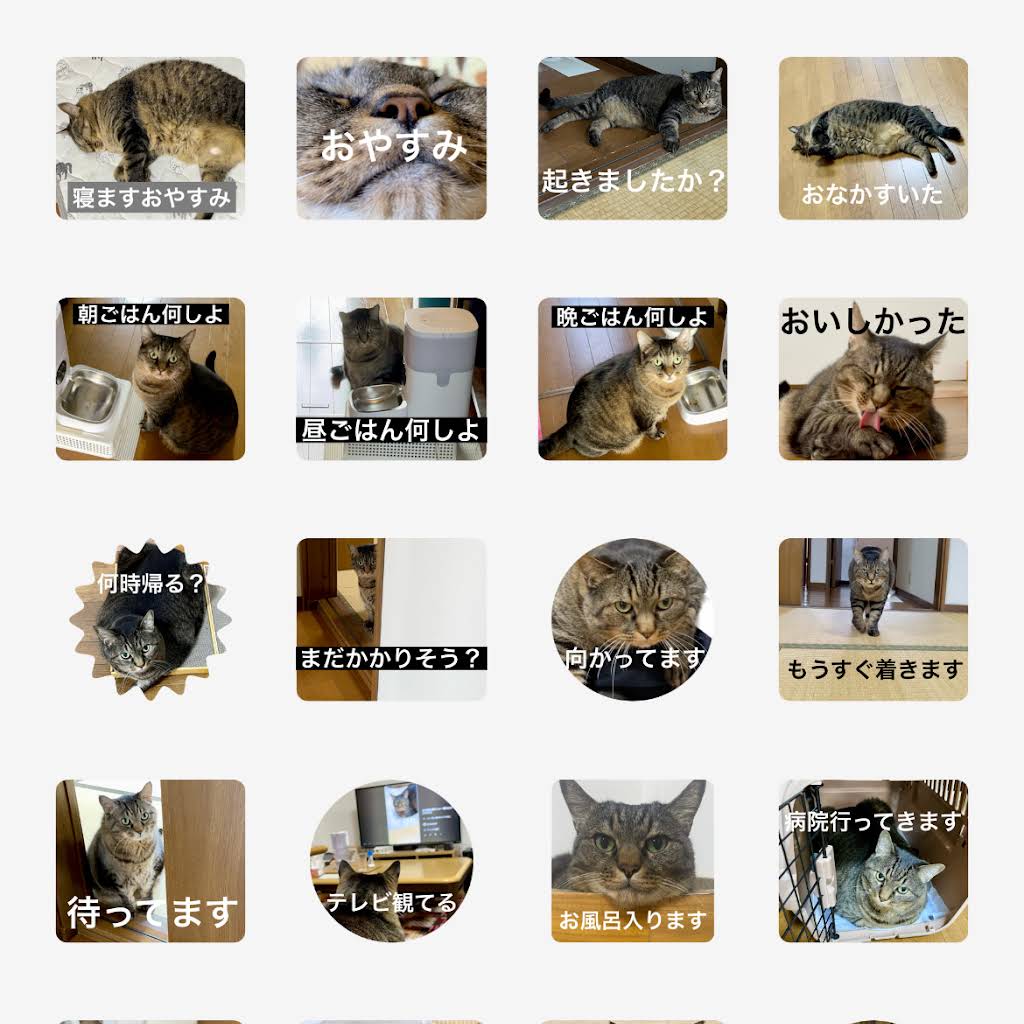 Nekojima Mametaro - YouTube