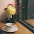 dH_PkB0Zt3w-channel-avatar-thetinycocoon_diaries