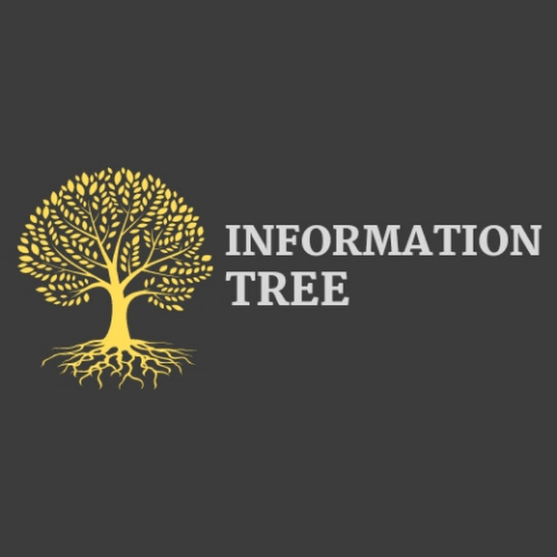 Information Tree