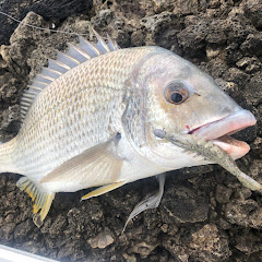 Trav's Fishing Australia