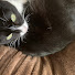 なおくん