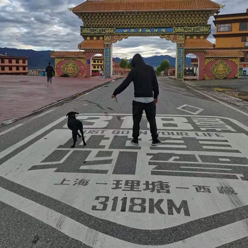 小秃子旅行记 Logo