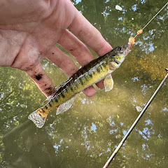 BoyGoingFishin