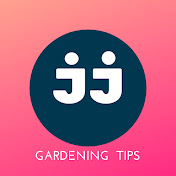 Gardening for beginners at home