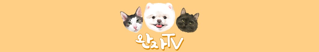 ì™„ìžTV YouTube channel avatar