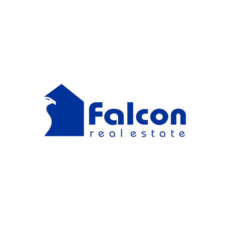 Falcon Consulting