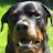 Justice the Rott