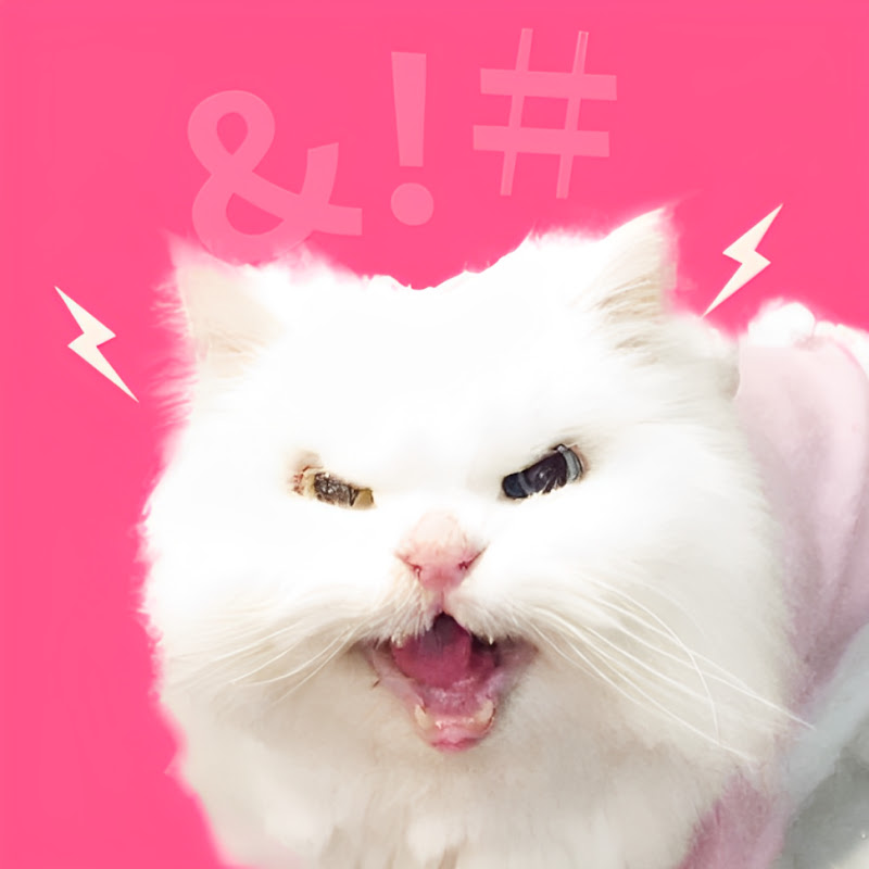 台大碩士被資遣，入職半年被老闔罵到懷疑人生。國威：別難過，我第一份工作也是被Fire！｜還是你想被罵 黃麗群 EP54　@知識長國威