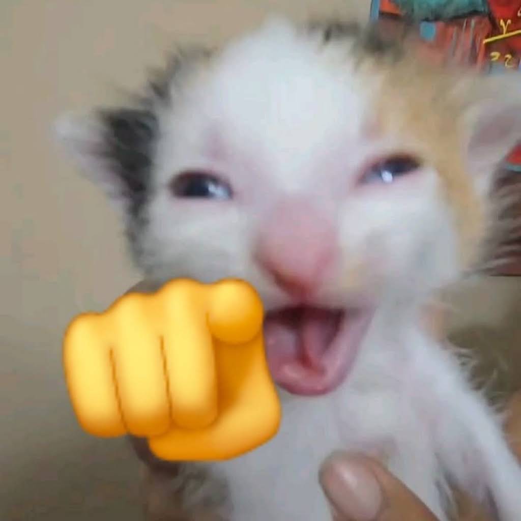 LIKO NOOOOOOO, image size:1024x1024