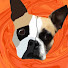 fyss3G1fL4E-channel-avatar-🎃 DoggyPlayz 🎃