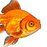 r_7YpV5Ra3A-channel-avatar-Aquarium Fish Mind