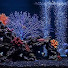 1t8rhPC0LKE-channel-avatar-Relaxing Aquarium