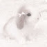 UWBtIcjILcw-channel-avatar-мιƒƒуℓι¢ισυѕ𓆩 ྀིྀི𓆪