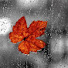 IAhyjVM_pVY-channel-avatar-RainFall Relaxation 