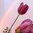 @user-a0e2g0i8