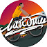 95XI2StpXok-channel-avatar-🚴 ЛайБиш