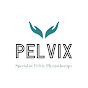 Pelvix Physio logo