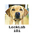 El9oNJT0kQ4-channel-avatar-LockLab101
