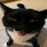 ayUzQpjs_jU-channel-avatar-PIZZAEATER316