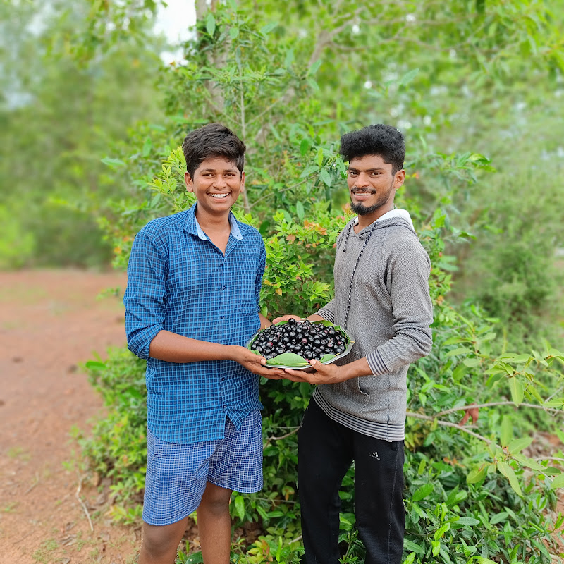 Gifts Of The Nature