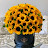 @Sunflower-143