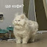 rf1fC_TT05I-channel-avatar-Кирилл Нью 2.0