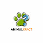Animalxfact logo