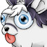 _0PnXqQDGcY-channel-avatar-Amad's Speedruns