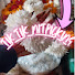 PlFi0z6EfE0-channel-avatar-Tik Tik Nitpicking