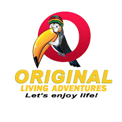 ORIGINAL LIVING_with Nasalinks Avatar