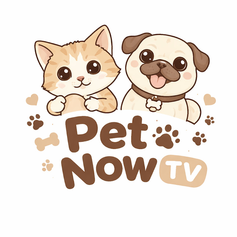 Pet Now TV