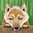@OmkarBhadewad360 Avatar