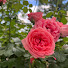 k_xATdtTfsk-channel-avatar-Razan